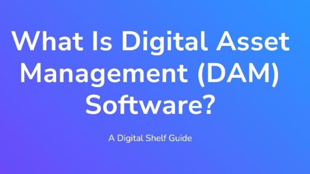 The words "What Is Digital Asset Management (DAM) Software?" against a blue background.